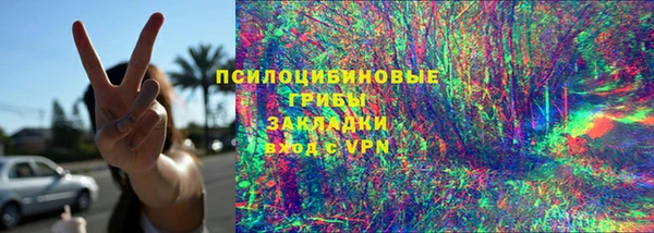 крисы Аркадак
