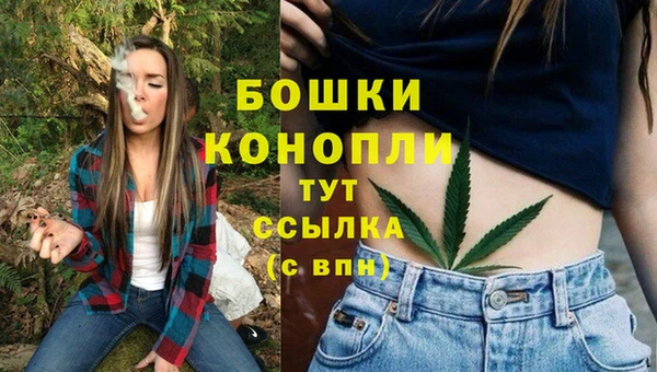 крисы Аркадак
